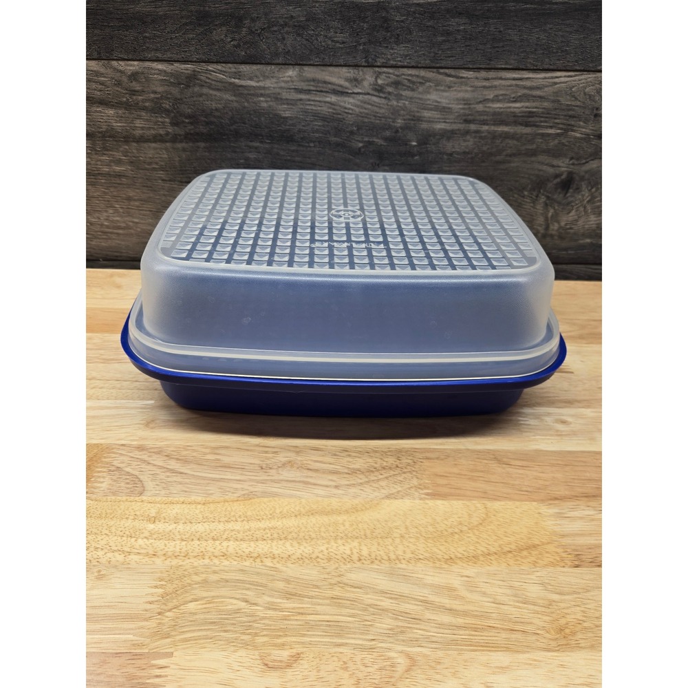 Vintage Blue Tupperware Season N Serve Meat Marinade Container w/ Lid 1295 USA